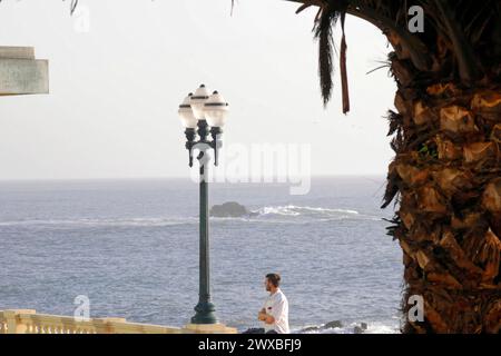 Blick auf das Meer mit Straßenlaterne und Passanten auf einer Promenade neben einer Palme, Porto, Nord-Portugal, Portugal Stockfoto