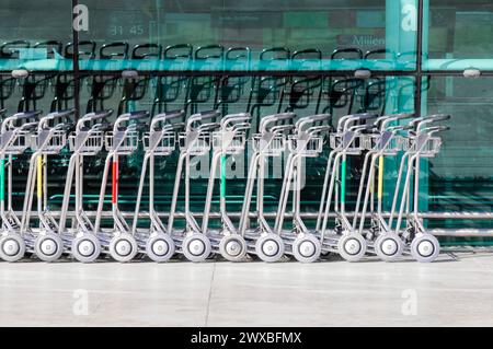 Detail, Aeroporto Francisco Sa Carneiro, Flughafen Porto, Reihen von Gepäckwagen am Flughafen, bereit für Passagiere, Porto, Nord-Portugal Stockfoto