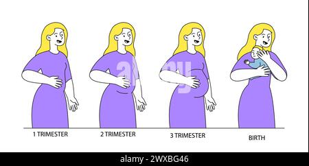 Lineare Schwangerschaftsstadien. Medizinische Infografiken. Fertilirtät und weibliches Fortpflanzungssystem. Erwartete Mutter mit großem Bauch. Doodle Flat Vector illu Stock Vektor