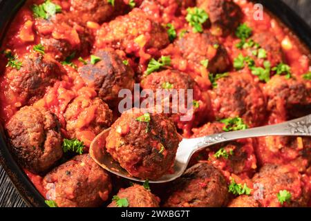 Albondigas, mexikanische Fleischbällchen aus Schweinefleisch und Rindfleisch in Tomatensoße mit roter Paprika, Zwiebelsauce in Backform mit Löffel, Nahaufnahme Stockfoto