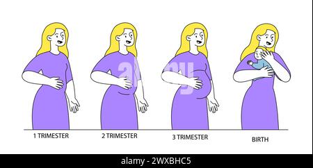 Stadien des Schwangerschaftsvektors linear Stock Vektor