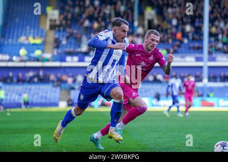 Sheffield, Großbritannien. März 2024. Sheffield Wednesday Verteidiger Pol Valentin (14) während des Sheffield Wednesday FC vs Swansea City AFC SKY Bet EFL Championship Match im Hillsborough Stadium, Sheffield, England, Großbritannien am 29. März 2024 Credit: Every Second Media/Alamy Live News Stockfoto