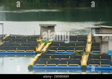 Schauplatz von Fischteichen in der Mitte des Wadaslintang Damms in Wonosobo. Mit dem Himmel als Hintergrund und vielen Bäumen am Rand des Damms. Keine Leute Stockfoto