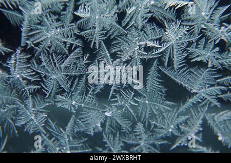 Eisblumen auf einem Autofenster. Stockfoto