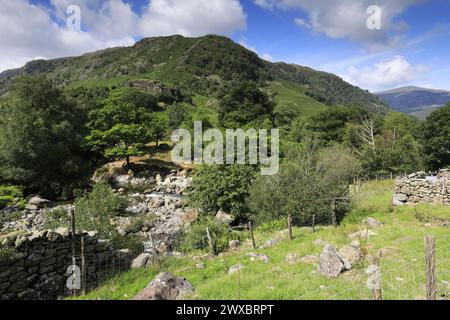 Blick auf Bull Crag im Stonethwaite Valley, Allerdale, Lake District National Park, Cumbria, England, Großbritannien Stockfoto