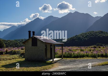 Die Toilette auf dem Campingplatz Cascade Creek DOC bei Abendsonne, Fiordland National Park, Southland, Südinsel, Neuseeland Stockfoto