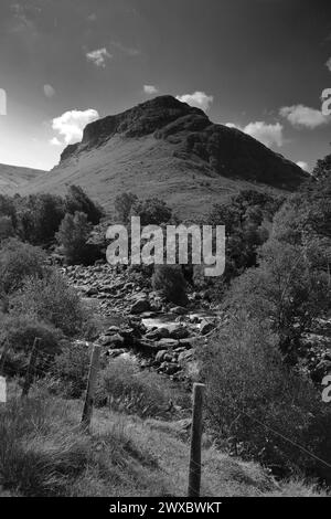 Blick auf Eagle Crag Fell, Stonethwaite Valley, Allerdale, Lake District National Park, Cumbria, England, UK Eagle Crag ist einer der Wainwright Fels von 214 Stockfoto