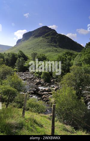 Blick auf Eagle Crag Fell, Stonethwaite Valley, Allerdale, Lake District National Park, Cumbria, England, UK Eagle Crag ist einer der Wainwright Fels von 214 Stockfoto