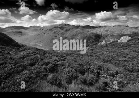 Blick auf Rosthwaite Fell und das Langstrath Valley vom Sergeants Crag Fell, Lake District National Park, Cumbria, England, Großbritannien Stockfoto