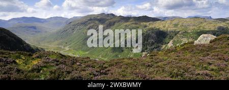 Blick auf Rosthwaite Fell und das Langstrath Valley vom Sergeants Crag Fell, Lake District National Park, Cumbria, England, Großbritannien Stockfoto