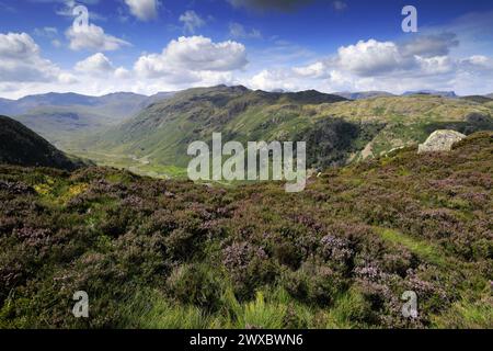 Blick auf Rosthwaite Fell und das Langstrath Valley vom Sergeants Crag Fell, Lake District National Park, Cumbria, England, Großbritannien Stockfoto