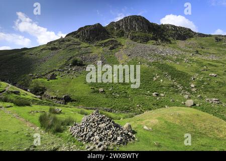 Blick auf Eagle Crag Fell, Stonethwaite Valley, Allerdale, Lake District National Park, Cumbria, England, UK Eagle Crag ist einer der Wainwright Fels von 214 Stockfoto