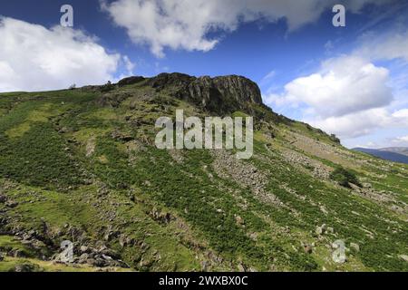 Blick auf Eagle Crag Fell, Stonethwaite Valley, Allerdale, Lake District National Park, Cumbria, England, UK Eagle Crag ist einer der Wainwright Fels von 214 Stockfoto