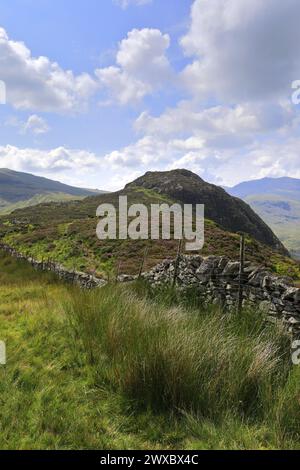 Blick auf Eagle Crag Fell, Stonethwaite Valley, Allerdale, Lake District National Park, Cumbria, England, UK Eagle Crag ist einer der Wainwright Fels von 214 Stockfoto