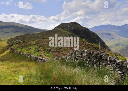 Blick auf Eagle Crag Fell, Stonethwaite Valley, Allerdale, Lake District National Park, Cumbria, England, UK Eagle Crag ist einer der Wainwright Fels von 214 Stockfoto