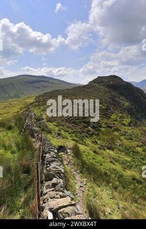 Blick auf Eagle Crag Fell, Stonethwaite Valley, Allerdale, Lake District National Park, Cumbria, England, UK Eagle Crag ist einer der Wainwright Fels von 214 Stockfoto