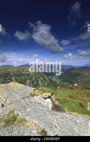 Blick auf Eagle Crag Fell, Stonethwaite Valley, Allerdale, Lake District National Park, Cumbria, England, UK Eagle Crag ist einer der Wainwright Fels von 214 Stockfoto