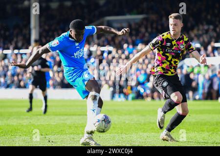 Kwame Poku (11 Peterborough United) schießt während des Spiels der Sky Bet League 1 zwischen Peterborough und Carlisle United in der London Road, Peterborough am Freitag, den 29. März 2024. (Foto: Kevin Hodgson | MI News) Credit: MI News & Sport /Alamy Live News Stockfoto