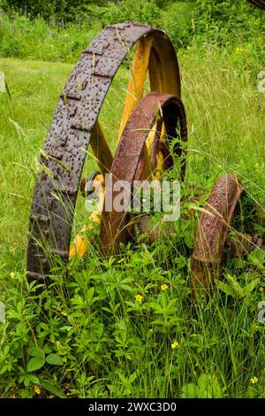 Kingston, New Brunswick, Kanada. Mäherräder, alte mechanische Mähmaschine auf dem Feld. Stockfoto