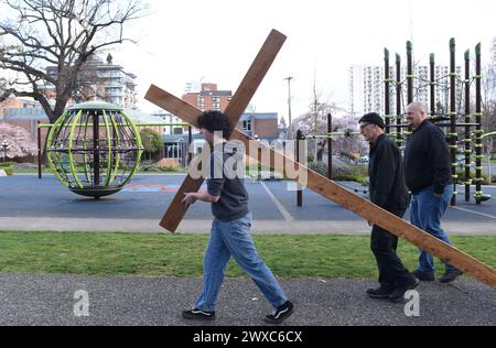 Victoria, British Columbia, Kanada, 29. März 2024 - während der jährlichen Karfreitag-Passionsprozession der Christ Church Cathedral (Anglican) trägt ein Jugendlicher ein großes Holzkreuz an einem Kinderspielplatz in der Innenstadt von Victoria vorbei. Don Denton/Alamy Live News Stockfoto