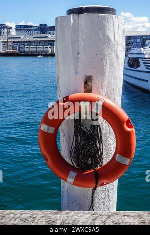 Ein orangener Rettungsring, montiert auf einem weißen Holzpfosten an einem Dock in Sydney, Australien Stockfoto