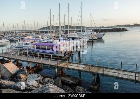 marina im Hafen von coffs, New South wales, australien Stockfoto