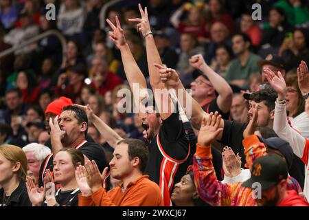 Albany, New York, USA. März 2024. Die Fans des Bundesstaates Oregon konnten die Reise zu den Elite Eight beim NCAA Women's Basketball Tournament Albany 1 Regional Halbfinale 2024 in der MVP Arena in Albany, N.Y. (Foto: © Scott Rausenberger/ZUMA Press Wire) NUR ZUR REDAKTIONELLEN VERWENDUNG erleben! Nicht für kommerzielle ZWECKE! Stockfoto