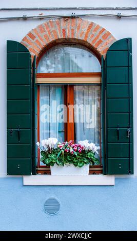 Geschlossenes Fenster in blauer Stuckwand, grüne Fensterläden und Blumentopf auf Fensterbank Stockfoto