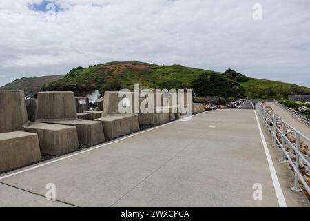 Coffs Harbour Marina Walkway führt zum Naturschutzgebiet Muttonbird Island, Coffs Harbor, NSW, Australien Stockfoto