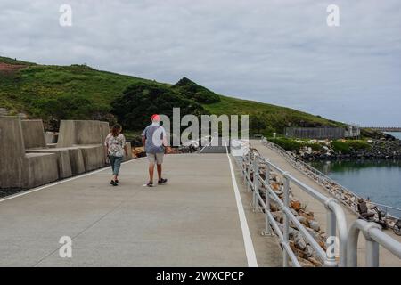 Coffs Harbour Marina Walkway führt zum Naturschutzgebiet Muttonbird Island, Coffs Harbor, NSW, Australien Stockfoto