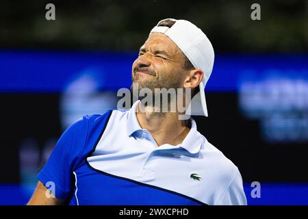 MIAMI GARDENS, FLORIDA - 29. MÄRZ: Grigor Dimitrov aus Bulgarien reagiert am 14. Tag der Miami Open im Hard Rock Stadium am 29. März 2024 in Miami Gardens, Florida, gegen Alexander Zverev aus Deutschland. (Foto: Mauricio Paiz) Stockfoto