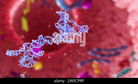 Darstellung eines RNA-(Ribonukleinsäure-)Obelisken im menschlichen Darm. RNA-Obelisken sind viroide RNA-Fragmente, die sich in Bakterien im menschlichen Mund und Darm replizieren. Sie bestehen aus einsträngiger zirkulärer RNA und haben eine stäbchenartige Sekundärstruktur. Sie kodieren für Proteine mit unbekannter Funktion. Stockfoto