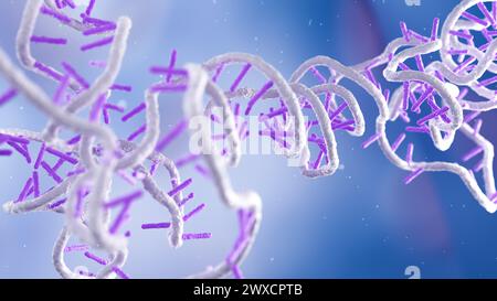 Darstellung eines RNA-(Ribonukleinsäure-)Obelisken. RNA-Obelisken sind viroide RNA-Fragmente, die sich in Bakterien im menschlichen Mund und Darm replizieren. Sie bestehen aus einsträngiger zirkulärer RNA und haben eine stäbchenartige Sekundärstruktur. Sie kodieren für Proteine mit unbekannter Funktion. Stockfoto