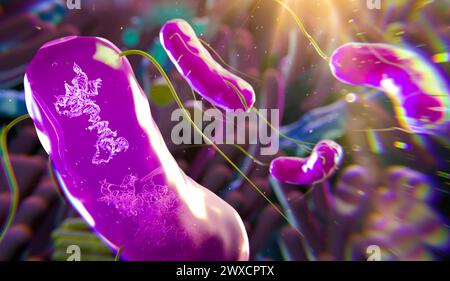 Darstellung der RNA (Ribonukleinsäure)-Obelisken in menschlichen Darmbakterien. RNA-Obelisken sind viroide RNA-Fragmente, die sich in Bakterien im menschlichen Mund und Darm replizieren. Sie bestehen aus einsträngiger zirkulärer RNA und haben eine stäbchenartige Sekundärstruktur. Sie kodieren für Proteine mit unbekannter Funktion. Stockfoto