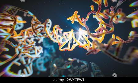 Darstellung eines RNA-(Ribonukleinsäure-)Obelisken. RNA-Obelisken sind viroide RNA-Fragmente, die sich in Bakterien im menschlichen Mund und Darm replizieren. Sie bestehen aus einsträngiger zirkulärer RNA und haben eine stäbchenartige Sekundärstruktur. Sie kodieren für Proteine mit unbekannter Funktion. Stockfoto