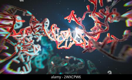 Darstellung eines RNA-(Ribonukleinsäure-)Obelisken. RNA-Obelisken sind viroide RNA-Fragmente, die sich in Bakterien im menschlichen Mund und Darm replizieren. Sie bestehen aus einsträngiger zirkulärer RNA und haben eine stäbchenartige Sekundärstruktur. Sie kodieren für Proteine mit unbekannter Funktion. Stockfoto