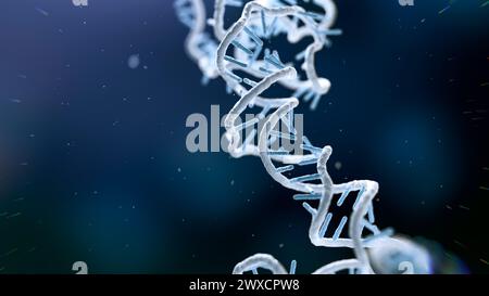 Darstellung eines RNA-(Ribonukleinsäure-)Obelisken. RNA-Obelisken sind viroide RNA-Fragmente, die sich in Bakterien im menschlichen Mund und Darm replizieren. Sie bestehen aus einsträngiger zirkulärer RNA und haben eine stäbchenartige Sekundärstruktur. Sie kodieren für Proteine mit unbekannter Funktion. Stockfoto