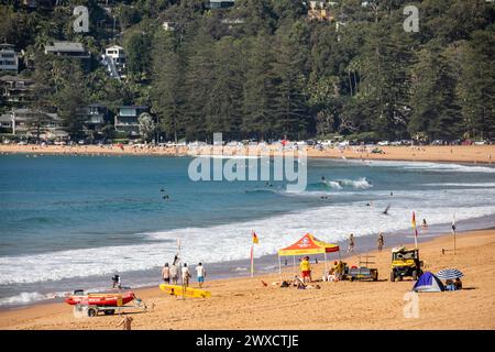 Die Einwohner Sydneys begeben sich an die Küste, da die Temperaturen in Teilen Sydneys 29 Grad erreichen. Die Einheimischen begeben sich am Samstag, den 30. März 2024, Australien, nach Palm Beach an Sydneys nördlichen Stränden. Martin Berry Alamy Live-Nachrichten. Stockfoto