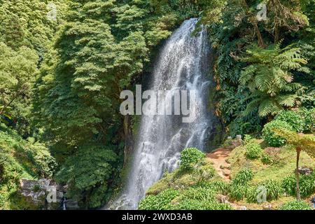 Wasserfall am Parque Natural da Ribeira Dos Caldeiroes, Sao Miguel, Azoren, Portugal. Wunderschöner Wasserfall umgeben von Hortensien in Ribeira dos Cal Stockfoto