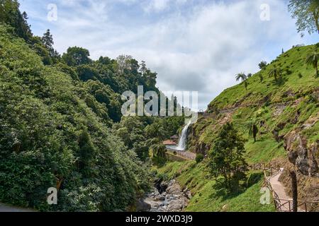 Wasserfall am Parque Natural da Ribeira Dos Caldeiroes, Sao Miguel, Azoren, Portugal. Wunderschöner Wasserfall umgeben von Hortensien in Ribeira dos Cal Stockfoto