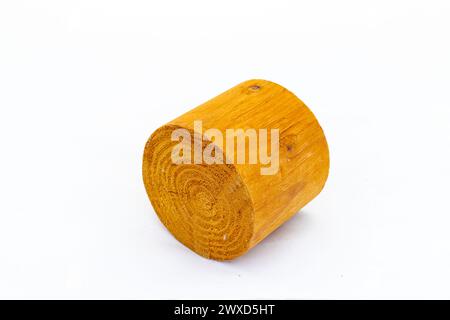 Baumstamm isoliert auf weißem Hintergrund. Stockfoto