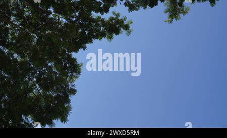 Der Himmel in Lombok ist hellblau mit Bäumen und am Morgen wolkenlos Stockfoto