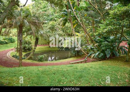 Jardim Botanico Antonio Borges. Ruhiger botanischer Garten auf den Azoren, Portugal, mit vielfältigen Pflanzenarten und ruhiger natürlicher Schönheit Stockfoto