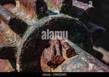 Nahaufnahme eines alten Zahnrads mit drei Nägeln, die als Bremse am Ufer des Strangford Lough eingeklemmt sind Stockfoto