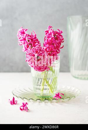 Stillleben mit Blumenstrauß frischer rosafarbener Hyazinthen in einer Glasvase. Floristik-Arrangement oder Hausdekorationskonzept. Selektiver Fokus. Stockfoto