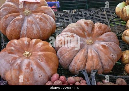 Nahaufnahme von Kürbissen an einem Gemüsestand auf dem Graca-Markt in Ponta Delgada, Azoren, Portugal Stockfoto