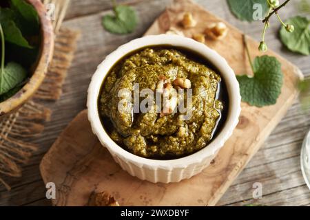 Grüne Pesto-Sauce aus frischen jungen Knoblauchsenfblättern - wilde essbare Pflanze, die im Frühjahr geerntet wird Stockfoto