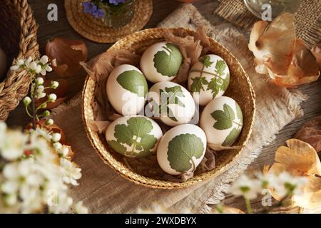 Rohe weiße Ostereier mit Kräutern in einem Korb - Vorbereitung zum Färben mit Zwiebelschalen Stockfoto