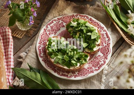 Frischer wilder Knoblauch oder Ramson-Blätter auf Sauerteigbrotscheiben mit Butter Stockfoto