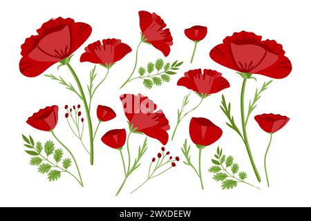 Rote Mohnblumen. Feldwildblume in flachem Stil. Rote Mohnblumen isoliert auf weißem Hintergrund. Vektorabbildung. Stock Vektor